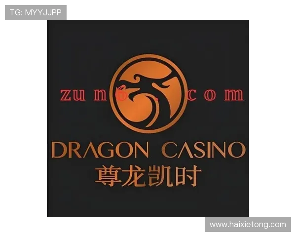 尊龙时凯官方网站入口网页版最新更新内容及安全登录方法详解助你畅玩无忧