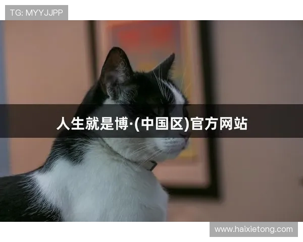 尊龙人生就是博电脑版:玩家评价与社区交流平台推荐指南