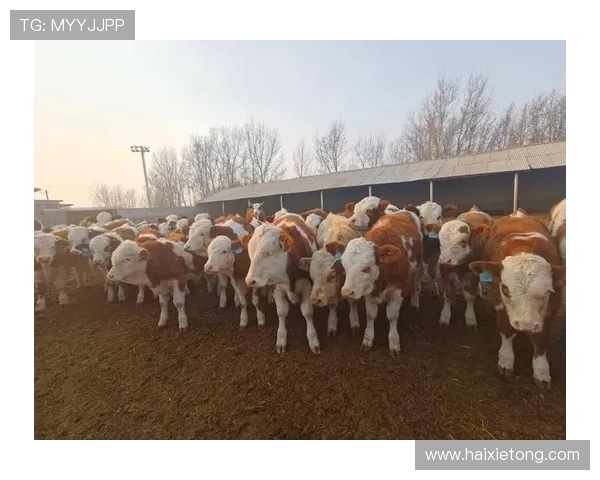 尊龙凯时人生就是博官网详细解析游戏玩法与最新活动内容推荐